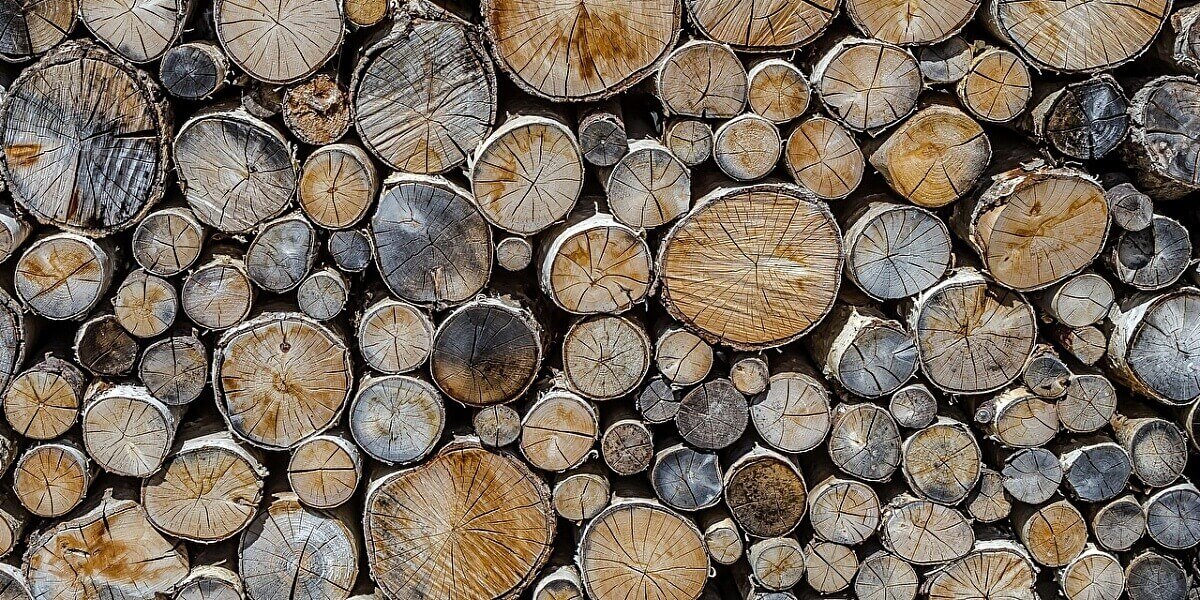 Достоинства сосновых дров