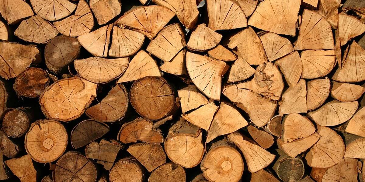 разновидности дров