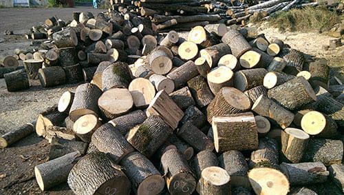 дрова бревнами в СПб