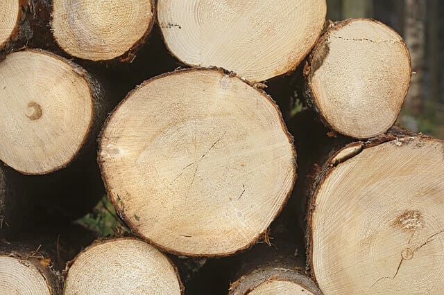 мягкая древесина